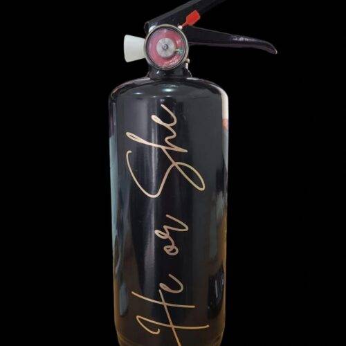 gender reveal fire extinguisher with custom writing