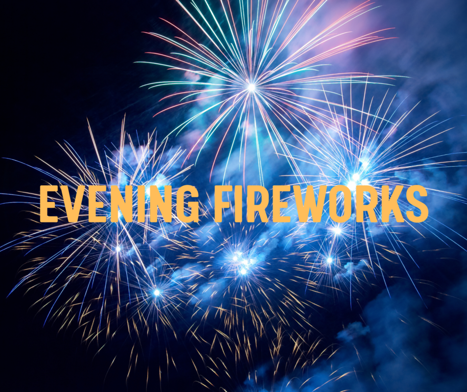 FIREWORK SERVICES Baby Gender Surprise